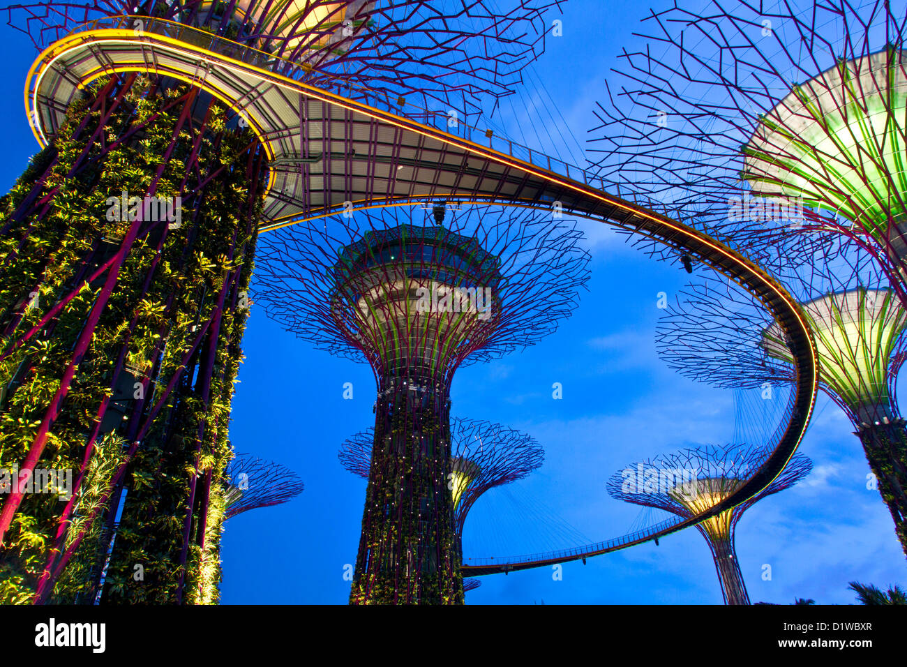Singapour, la Marina, les jardins du sud de la baie, Supertree Grove, l'OCBC Skyway passerelle surélevée. Banque D'Images