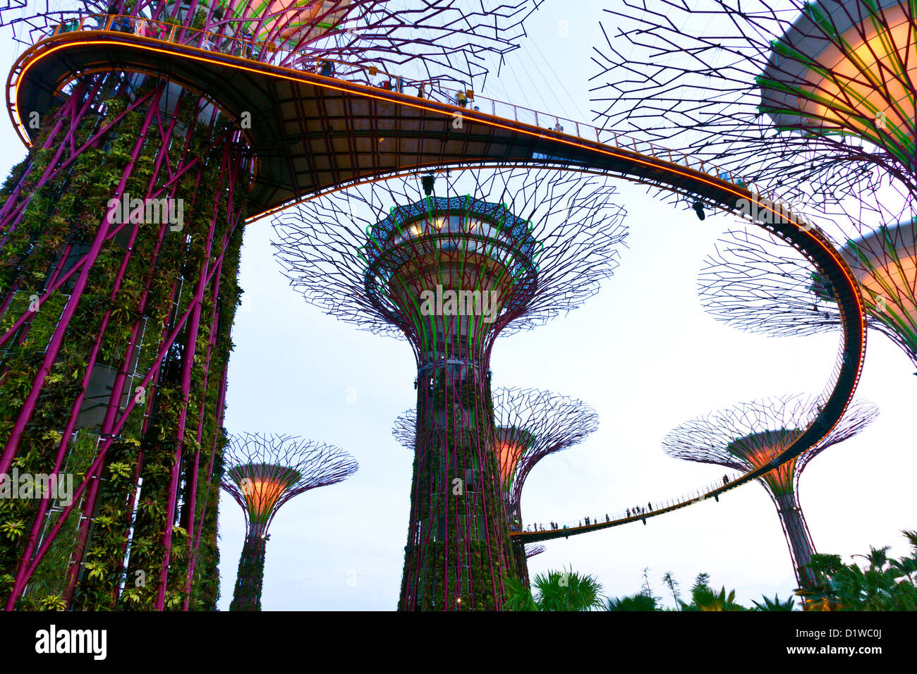 Singapour, la Marina, les jardins du sud de la baie, Supertree Grove, l'OCBC Skyway passerelle surélevée. Banque D'Images