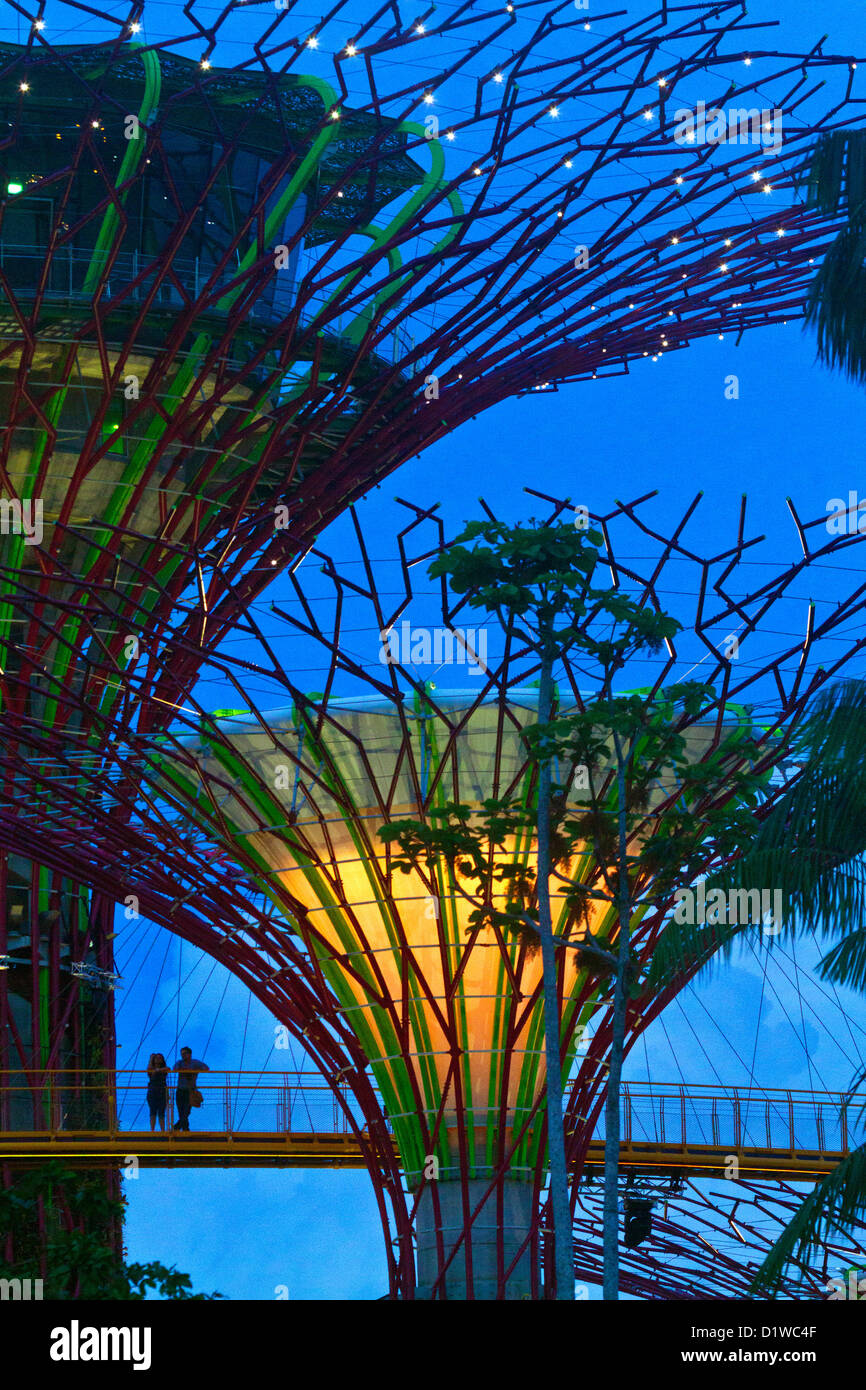 Singapour, la Marina, les jardins du sud de la baie, Supertree Grove, l'OCBC Skyway passerelle surélevée. Banque D'Images