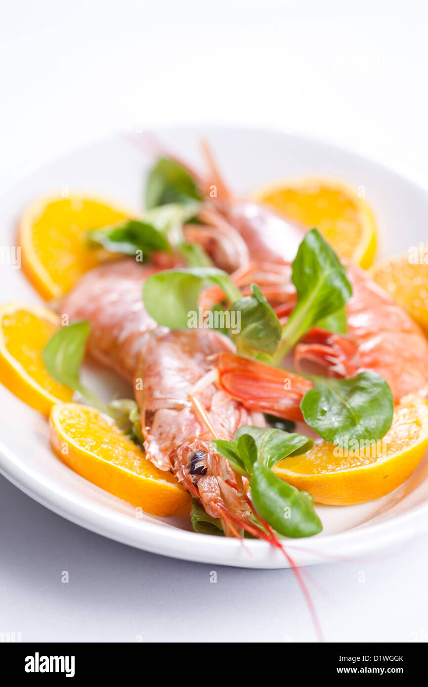 Salade de crevettes du Pacifique avec des tranches d'orange close up Banque D'Images