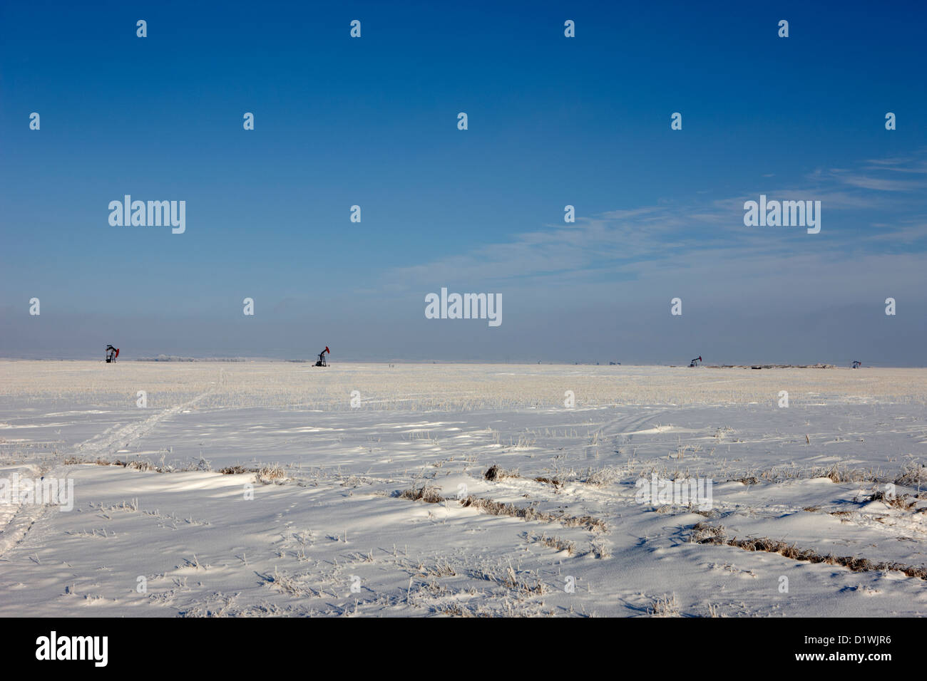 La neige a couvert la culture des terres agricoles des prairies avec chevalets oilfield hiver oublier Saskatchewan Canada Banque D'Images