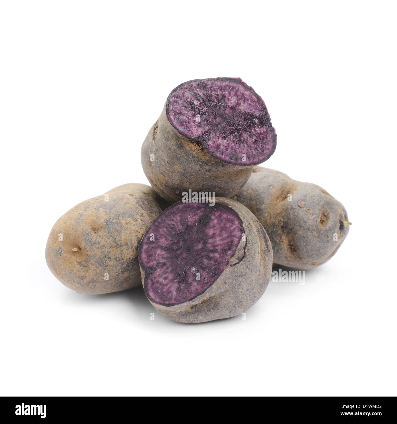 Pomme de Terre bleue, variété Purple Majesty Banque D'Images