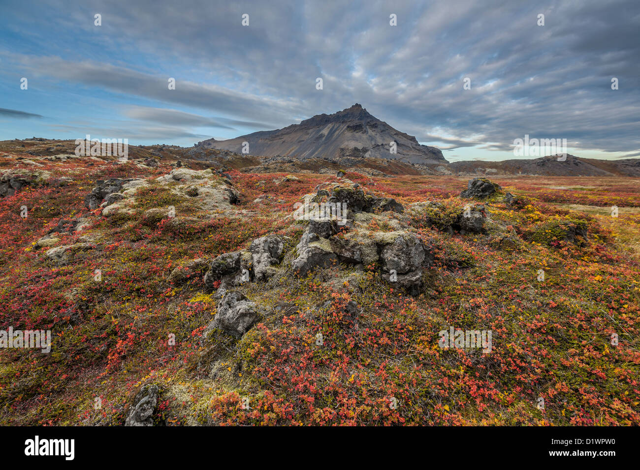 Lave et mousse à l'automne paysage avec Mt. Stapafell dans la distance, Snaefellsjokull Parc National, l'Islande Banque D'Images