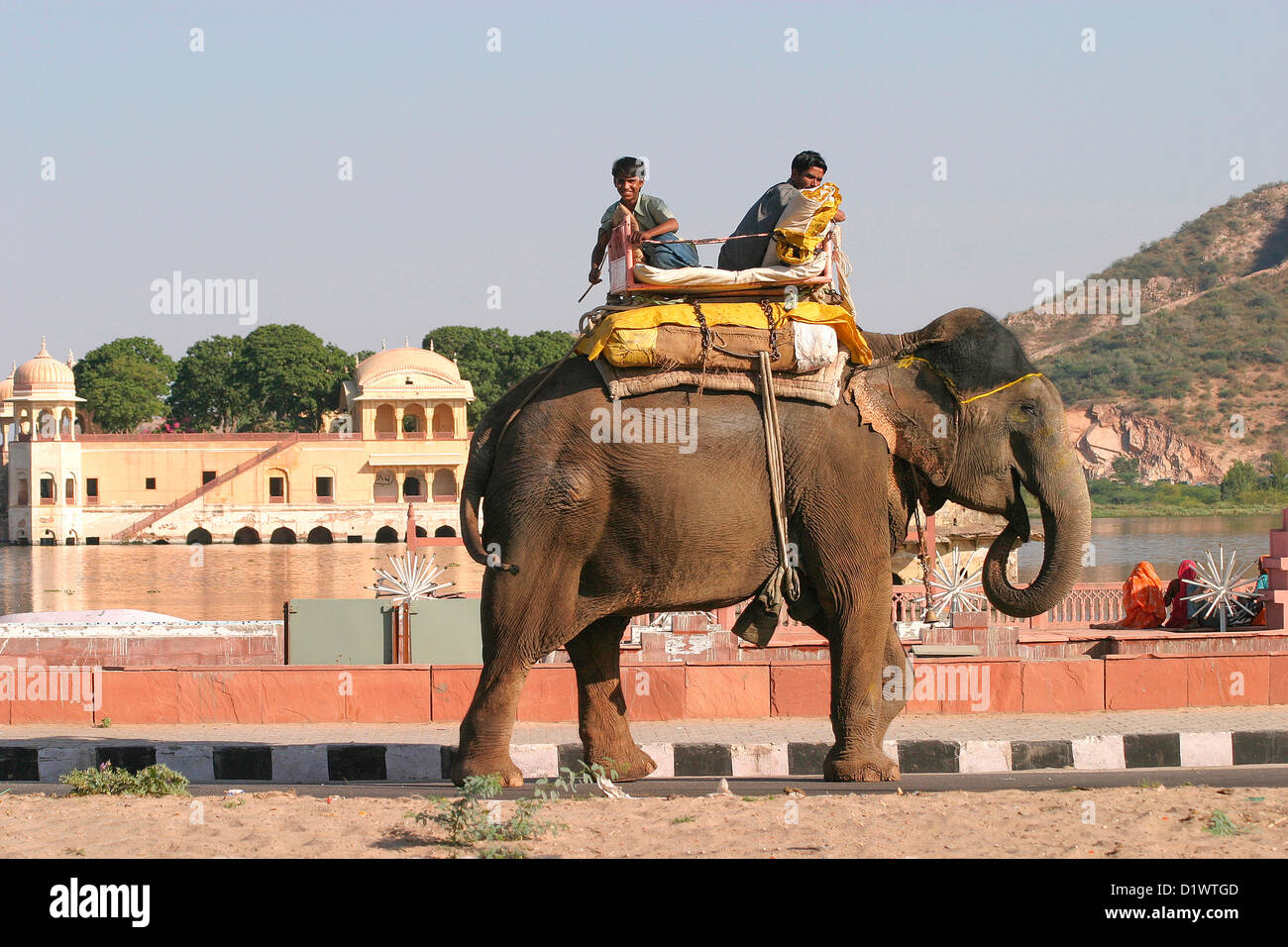 Un éléphant marchant à côté Sucre Homme Lac au milieu de laquelle se trouve le Palais de l'eau, Jal Mahal à Jaipur, Rajasthan, Inde. Banque D'Images
