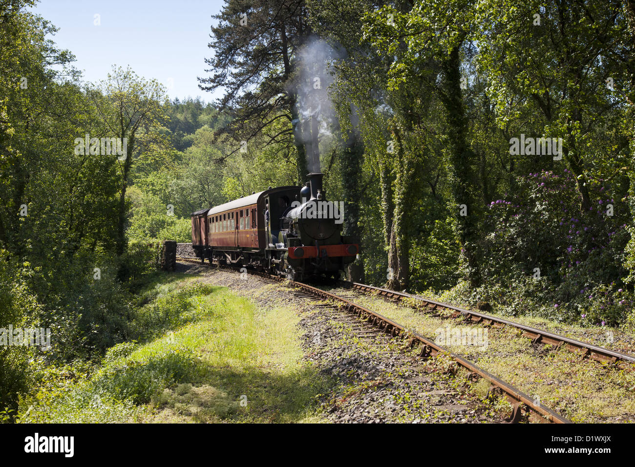 Bodmin & Wenford Chemin de fer à vapeur Banque D'Images