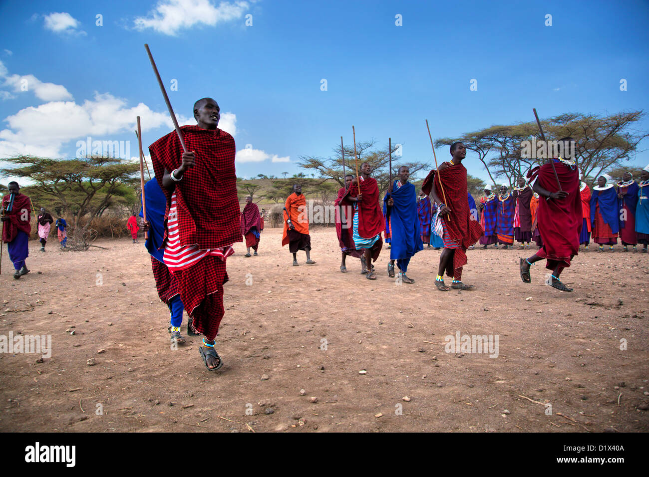 Un groupe d'hommes Massaï l'exécution de leur danse rituelle en vêtements traditionnels dans leur village. Banque D'Images