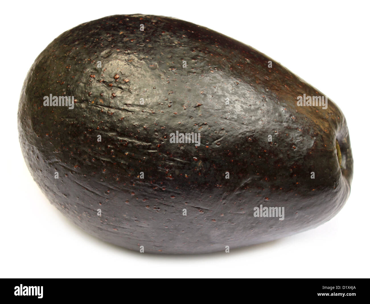 Fruits tropicaux frais avocat Banque D'Images