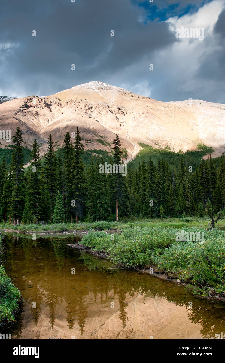 Paysage de montagne avec petit étang, dans le parc national Banff, Alberta, Canada Banque D'Images