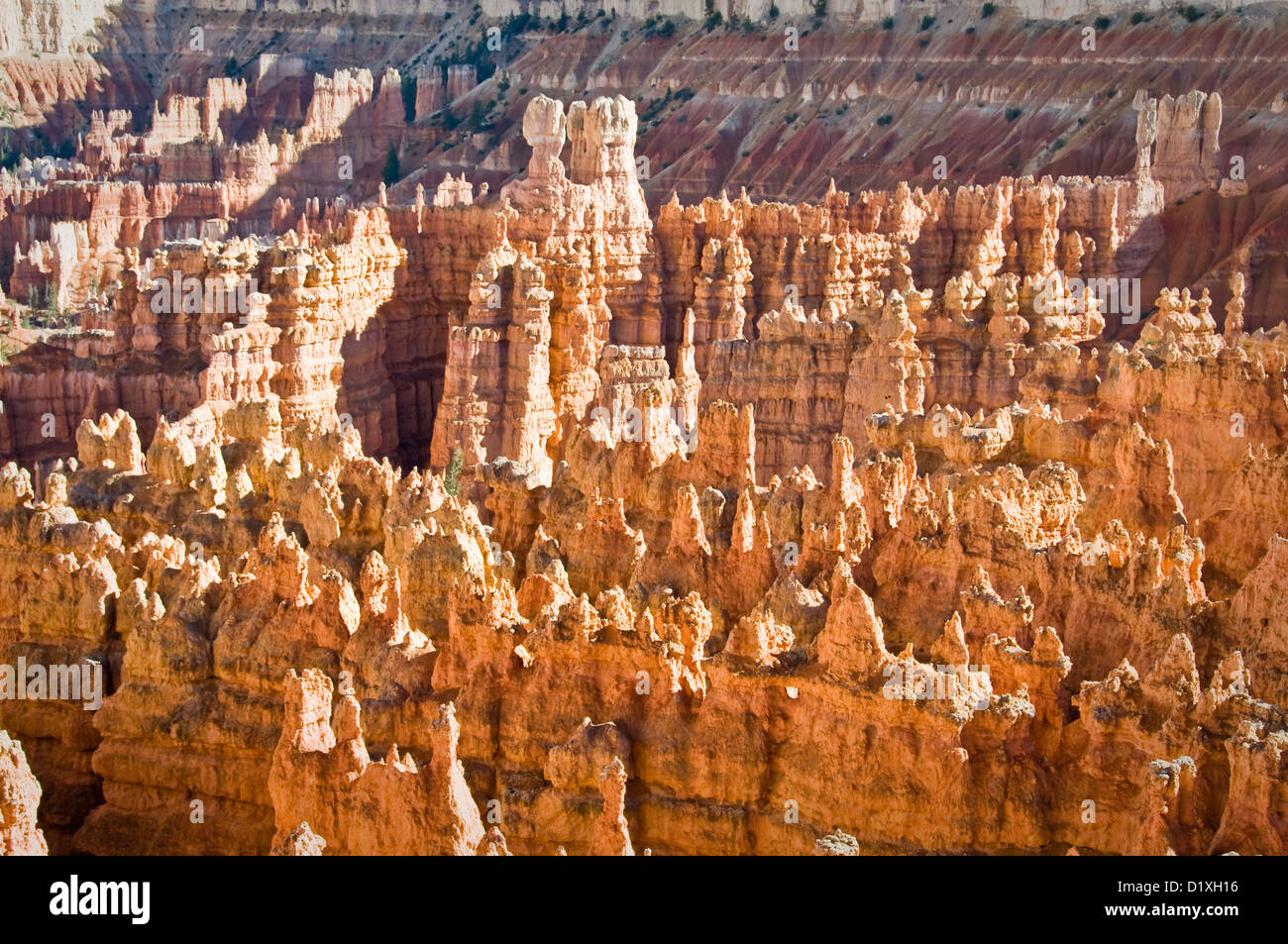 Sunset point - Bryce Canyon National Park, Utah, USA Banque D'Images