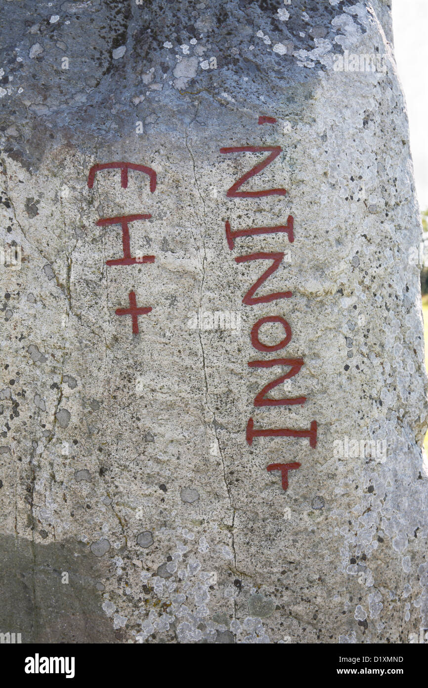 Verso de la pierre runique Karlevi - une inscription runique qui peut vouloir dire 'au nom de Jésus". L'île d'Öland en Suède Banque D'Images