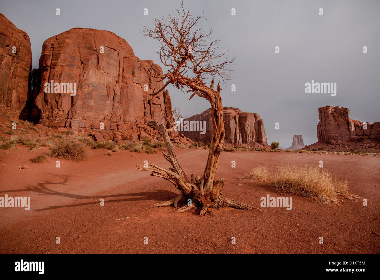 Monument Valley Navajo Tribal Park dans le Banque D'Images