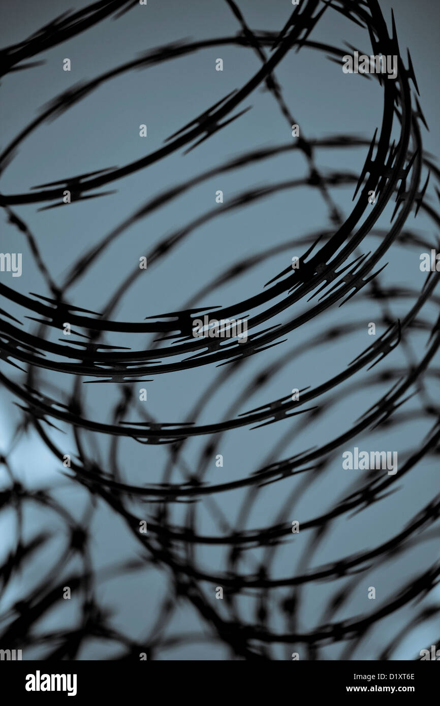 Barbelé Banque D'Images