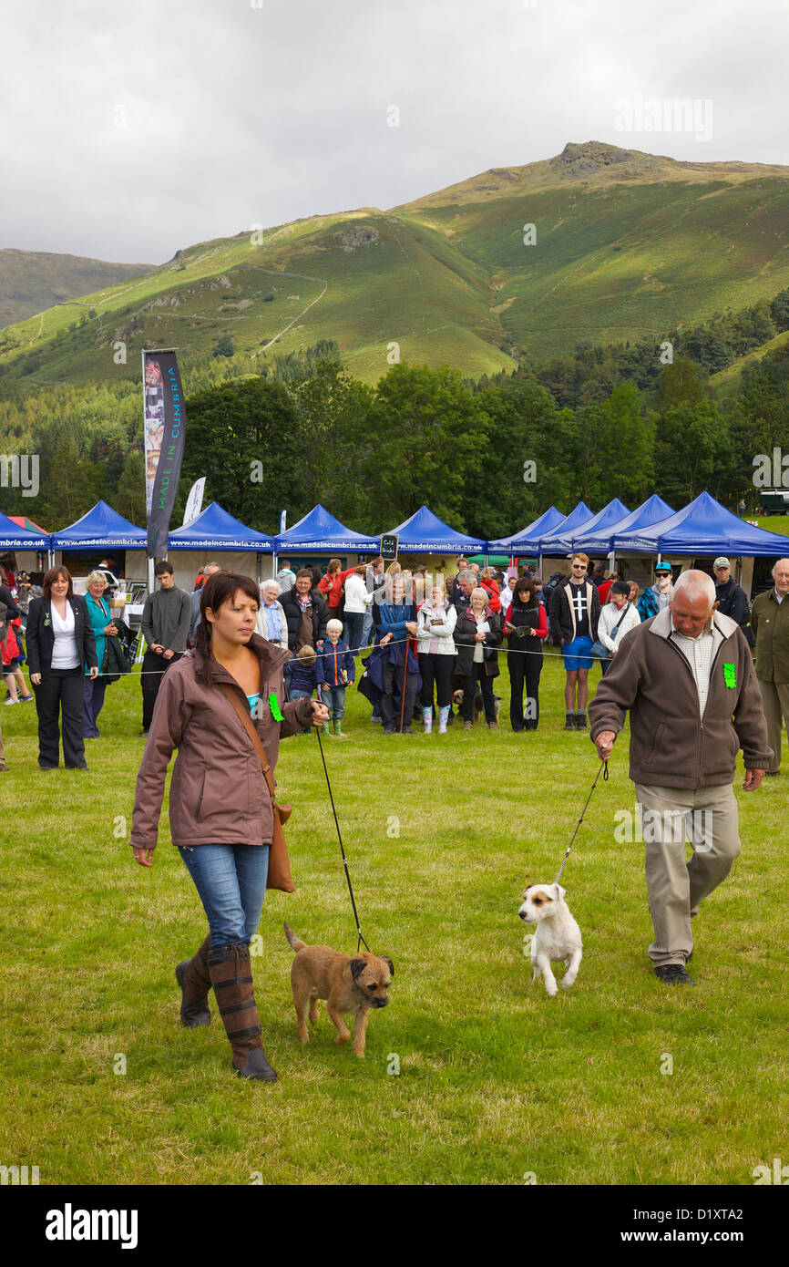 La femme et l'homme montrant leurs chiens à Grasmere Lakeland Sports,Parc National de Lake District, Cumbria, Angleterre. Royaume-uni, Banque D'Images