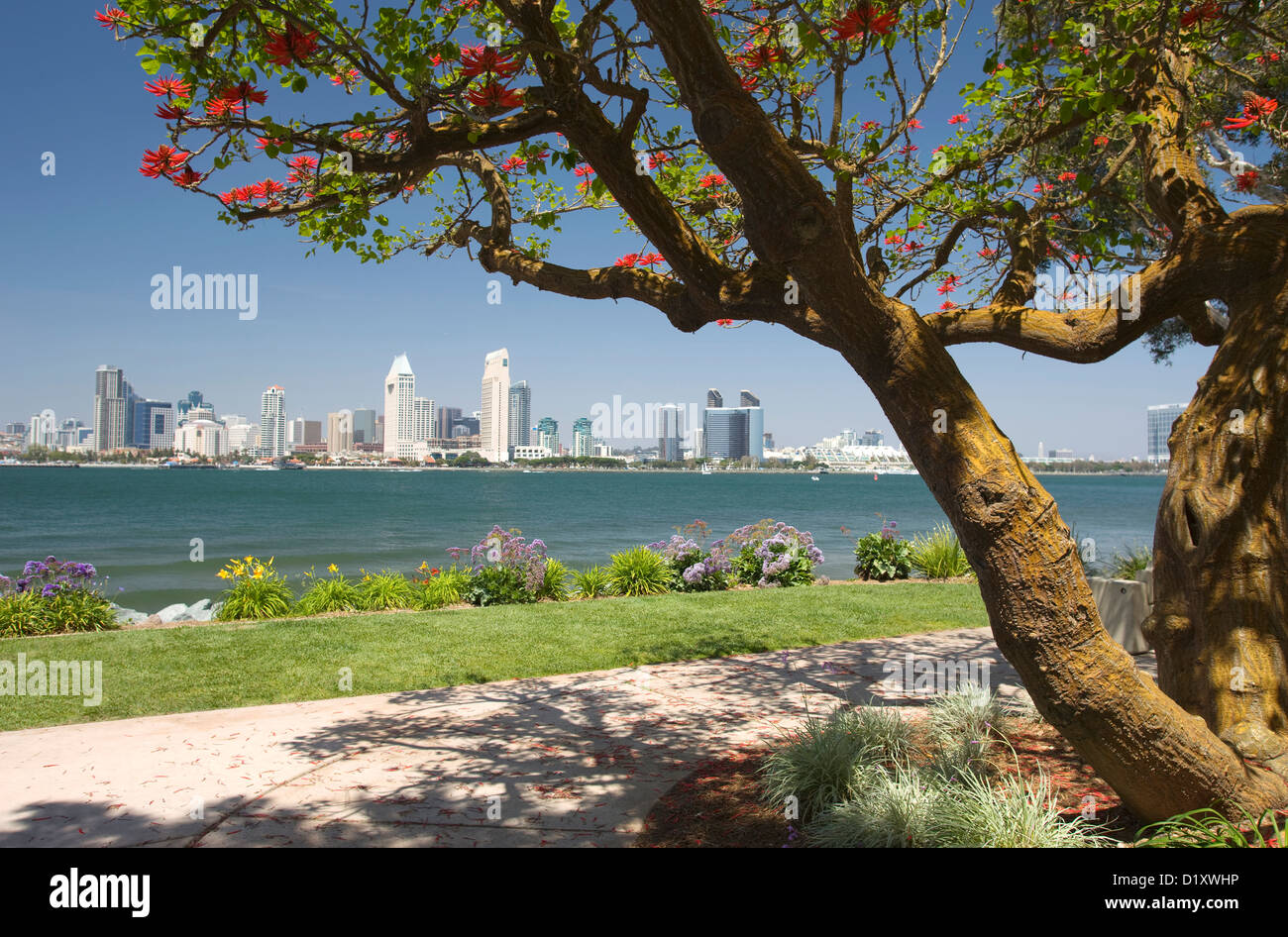 Le CENTRE-VILLE DU CÔTÉ DU PORT DE LA VILLE DE BAY VIEW PARK SAN DIEGO CALIFORNIA USA Banque D'Images