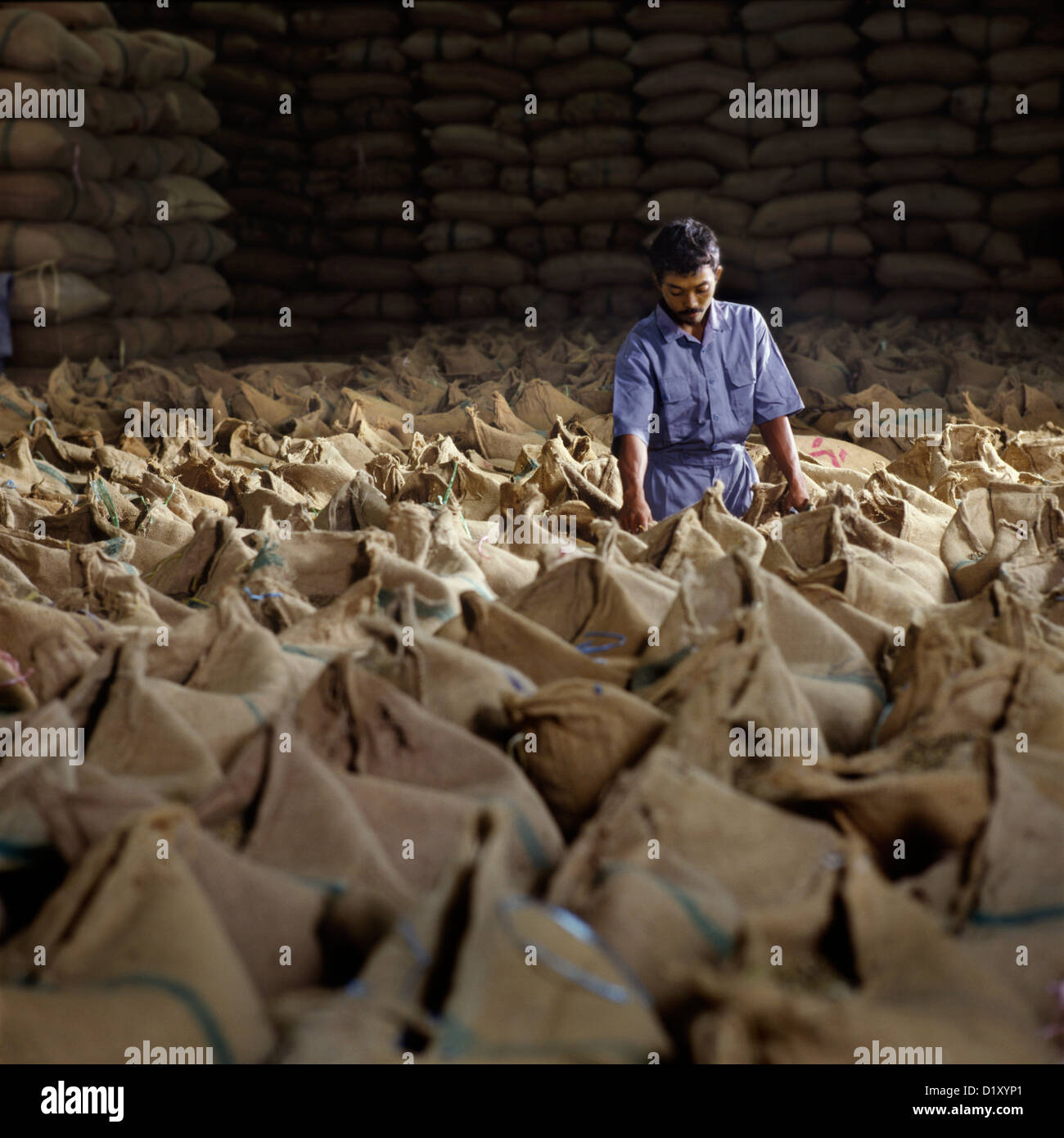 Des piles de sacs de café avec travailleur dans l'entrepôt, l'Indonésie Banque D'Images