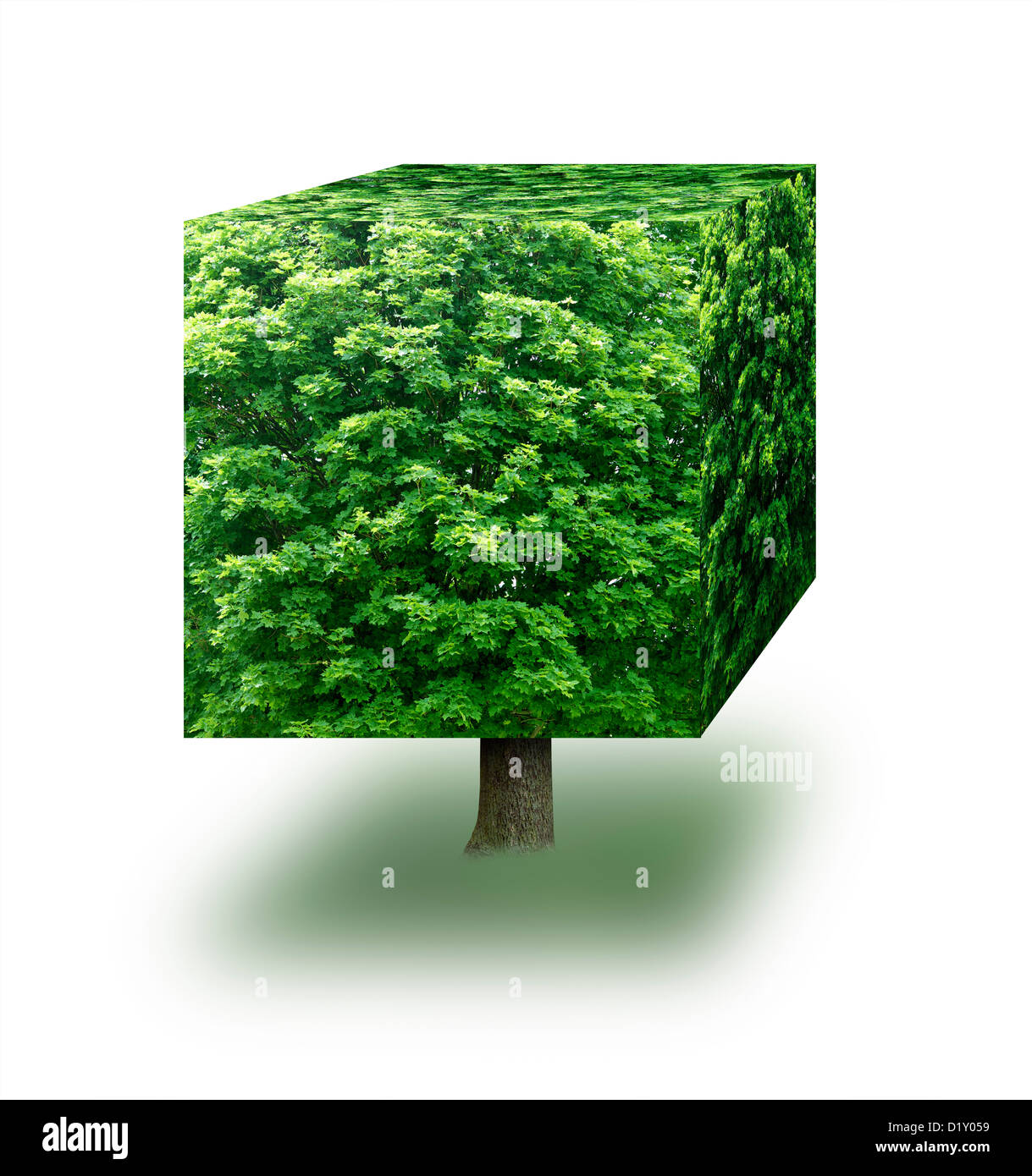 Fait à partir d'un cube tree against a white background Banque D'Images