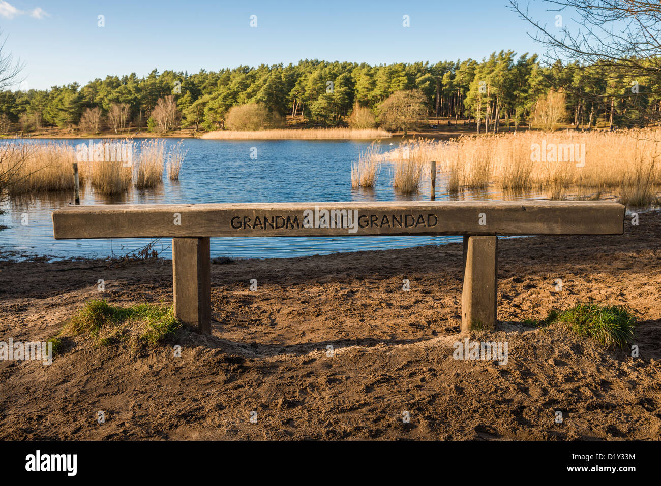 Ciel bleu sur le 1er janvier 2013 à Frensham Pond près de Farnham, Surrey, UK Banque D'Images