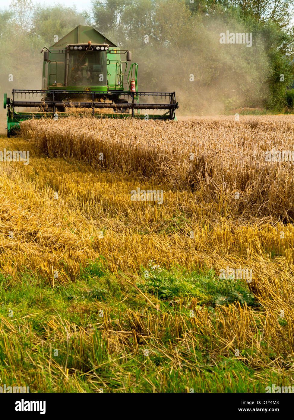 Moissonneuse-batteuse John Deere Harvester travaillant dans un champ dans le Shropshire England UK Banque D'Images