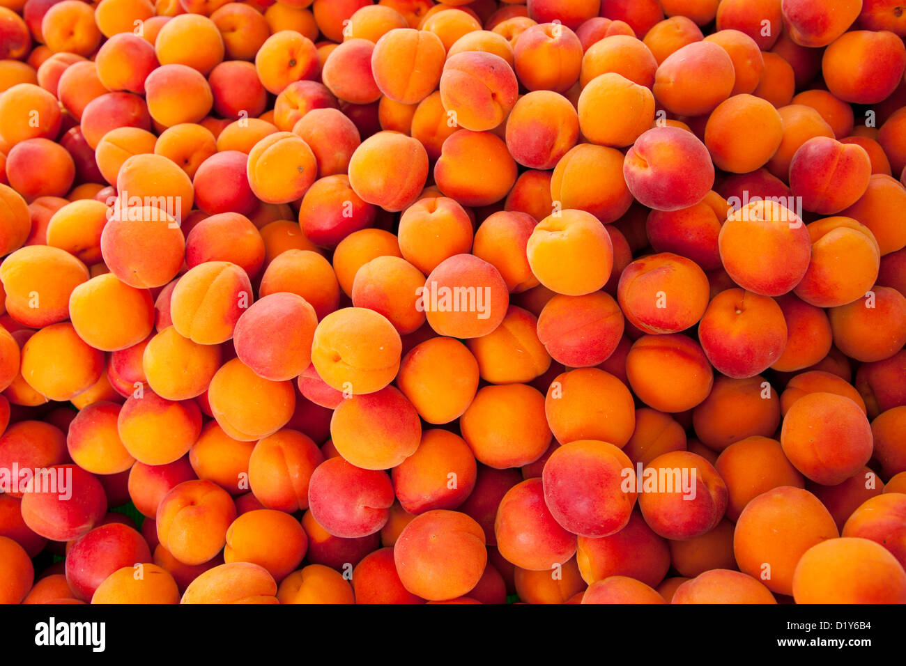 Abricots frais pour la vente au marché de Saint Rémy de Provence, France Banque D'Images
