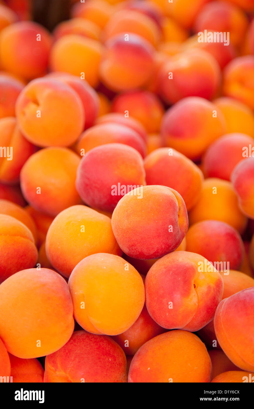 Abricots frais pour la vente au marché de Saint Rémy de Provence, France Banque D'Images