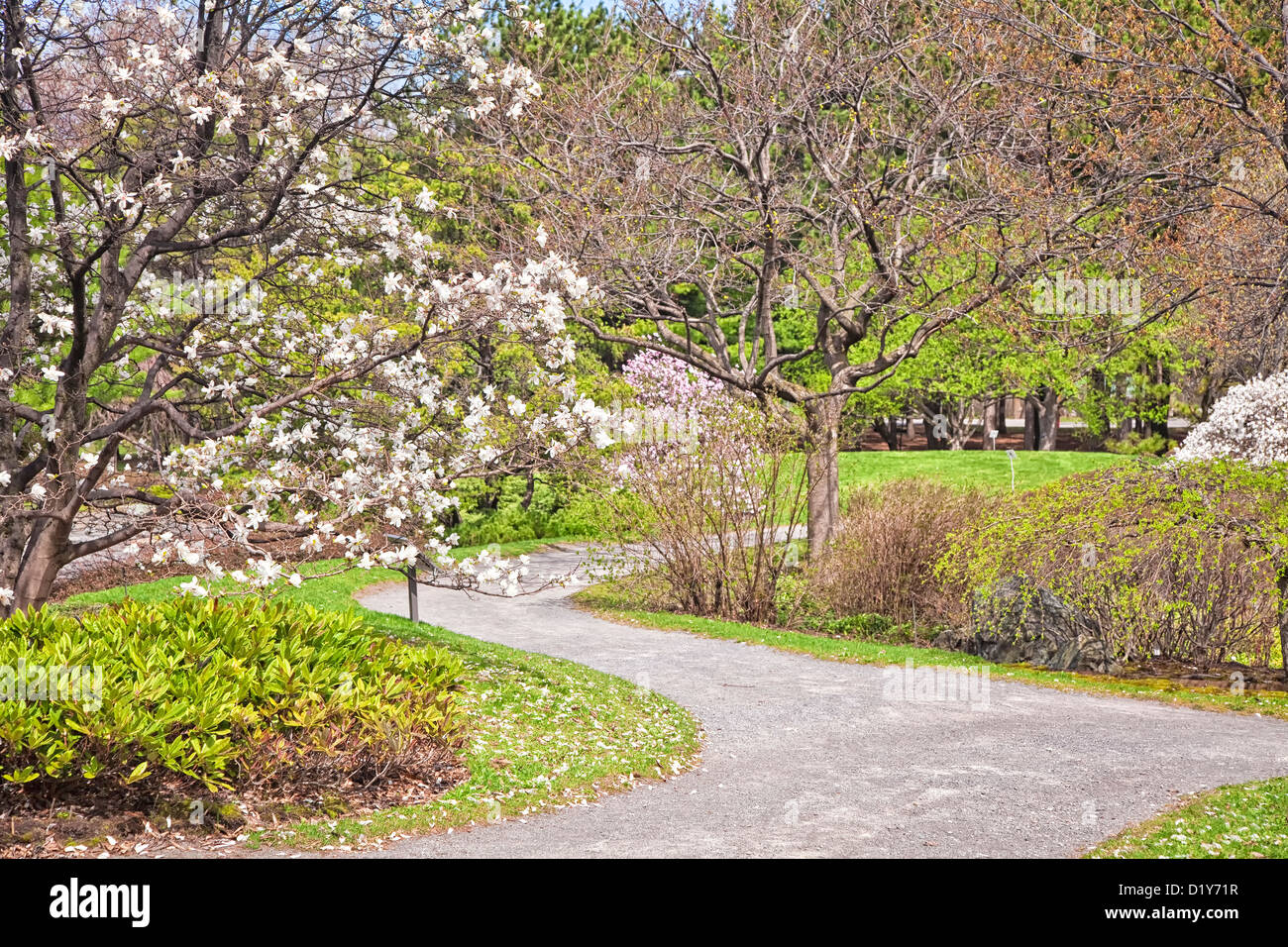 Avis de feuillage et fleurs de printemps dans le Jardin botanique de Montréal à Montréal, Québec, Canada. Banque D'Images