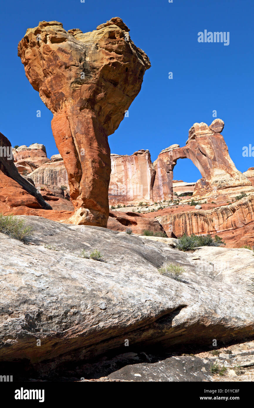 Angel Arch et molaire (Backenzahn), Angel Arch Creek District, les aiguilles, le parc national de Canyonlands, Utah, USA Banque D'Images