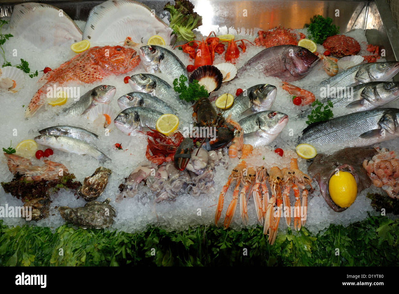 Les fruits de mer de la mer Adriatique sur un marché à Venise. Banque D'Images