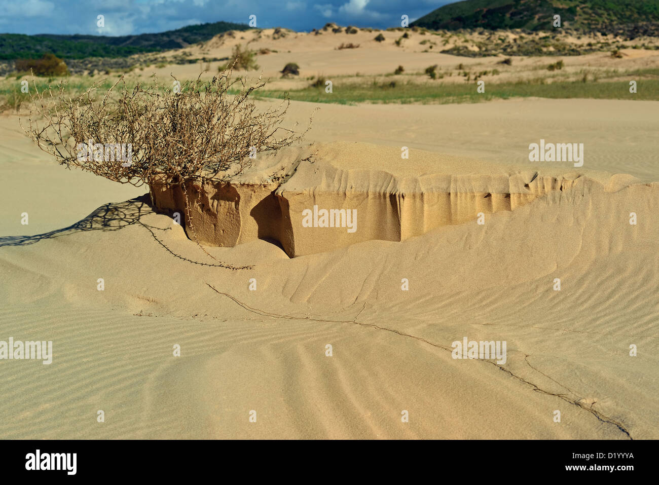 Le Portugal, l'Algarve : château de sable à dune plage de Praia da Bordeira Banque D'Images