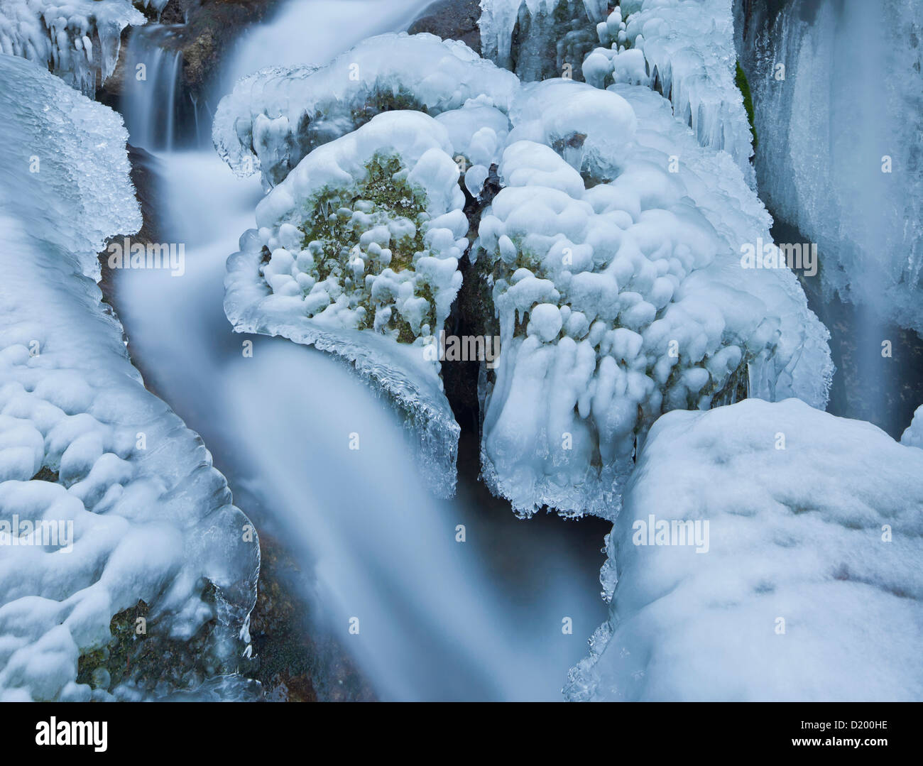 Avis de Mira tombe en hiver, Basse Autriche, Autriche, Europe Banque D'Images