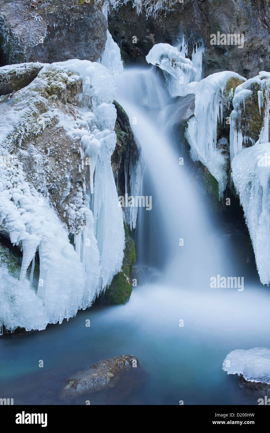 Avis de Mira tombe en hiver, Basse Autriche, Autriche, Europe Banque D'Images