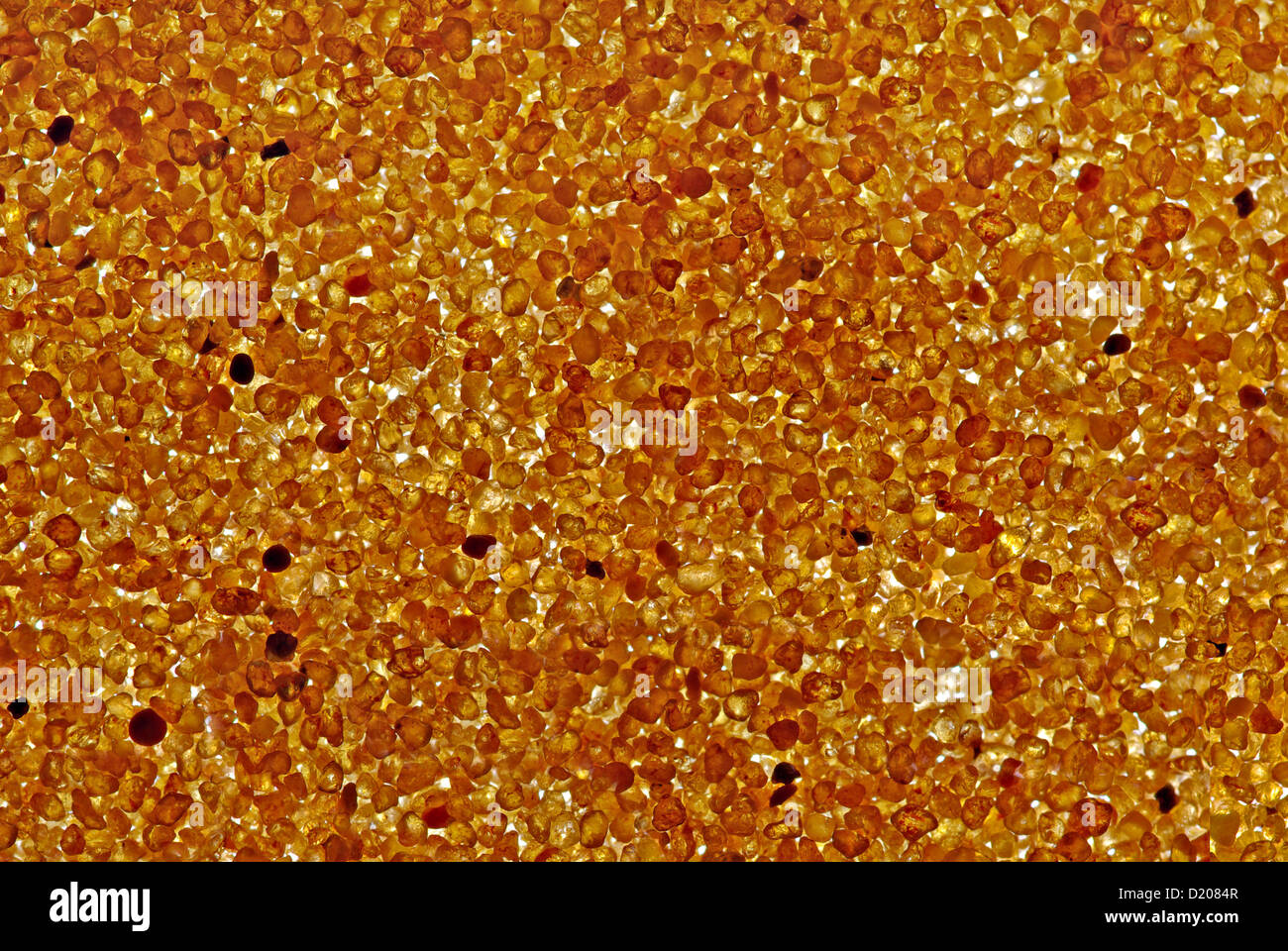 Jaune Sable close up, éclairé par en dessous Banque D'Images