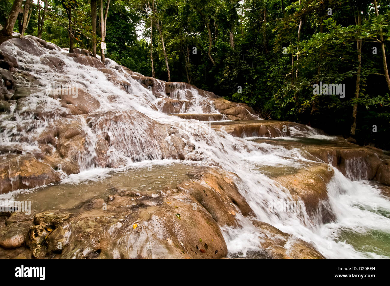 Dunns River Falls d'arbres en arrière-plan, sans personnage, symbole national de la Jamaïque Ocho Rios, Jamaïque Banque D'Images