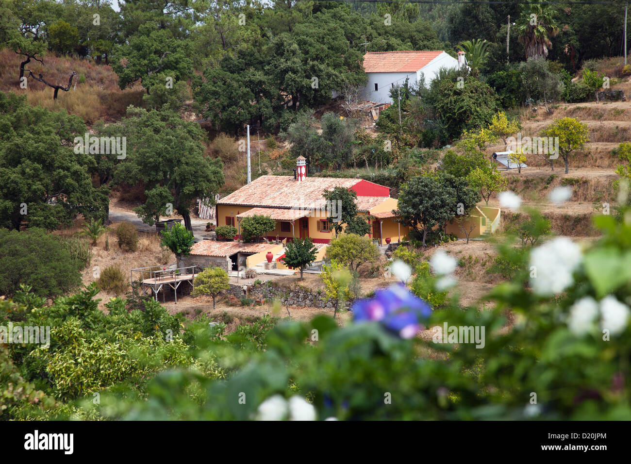 Maison de campagne dans la Serra de Monchique, Algarve, Portugal, Europe Banque D'Images