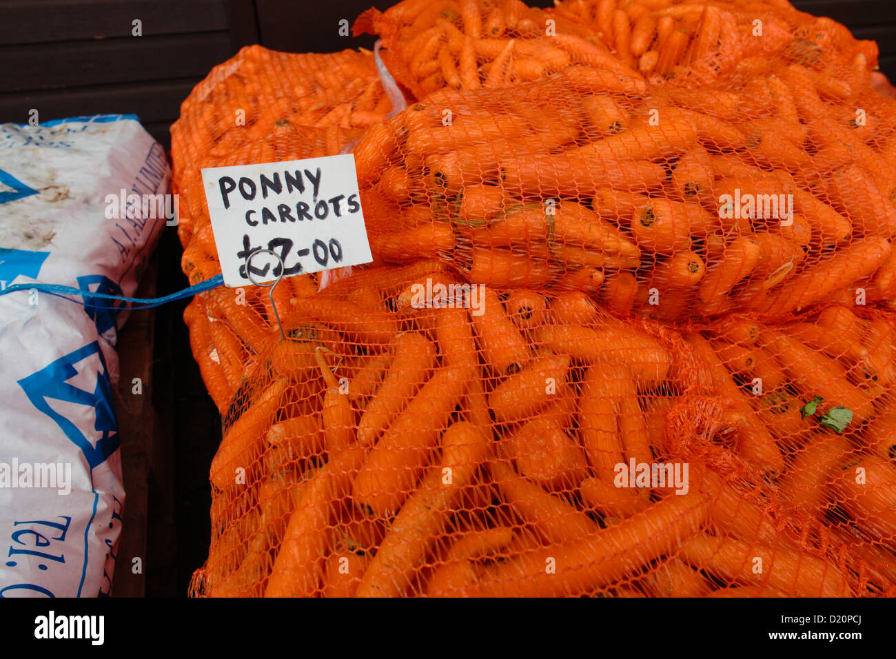 Les carottes en vrac étiqueté à la consommation animale. Les méthodes de lavage et d'engrais peut classer les légumes pour l'alimentation animale uniquement. Banque D'Images