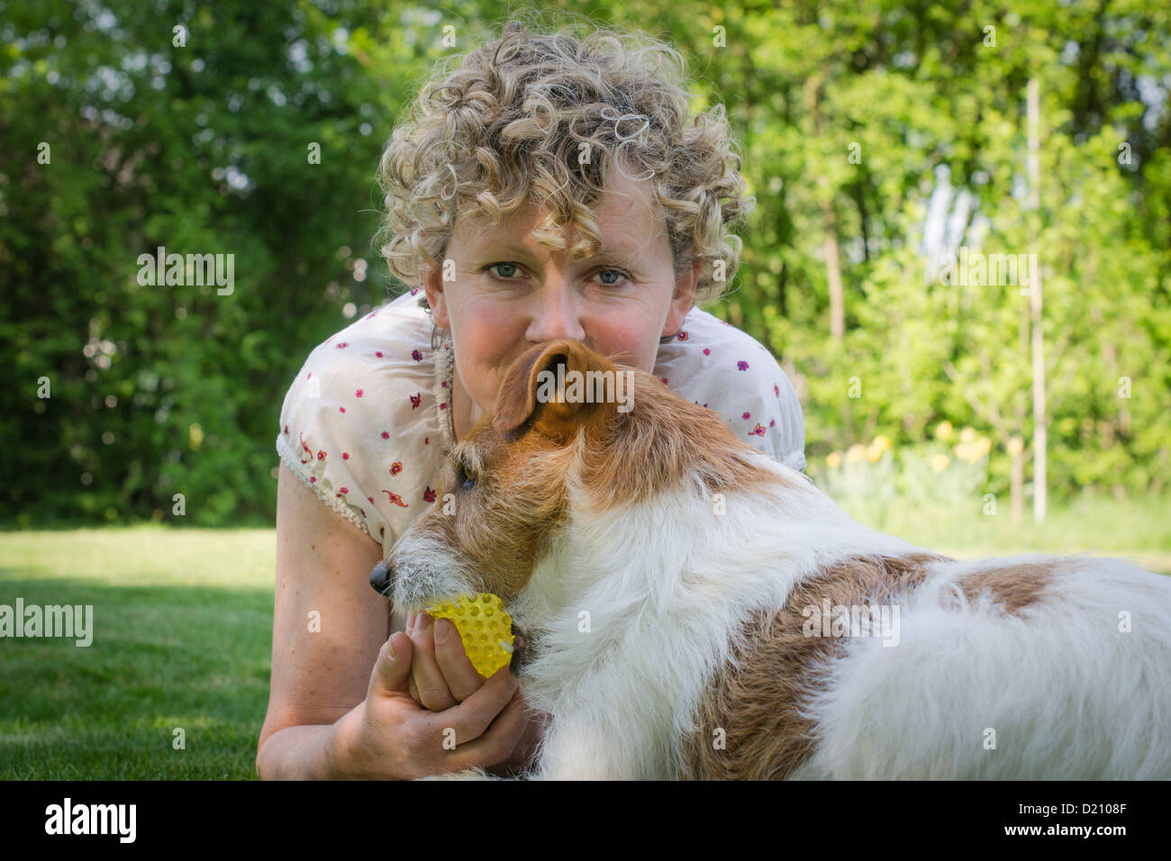 Jack Russell chien jouant avec une femme à poil dur Banque D'Images