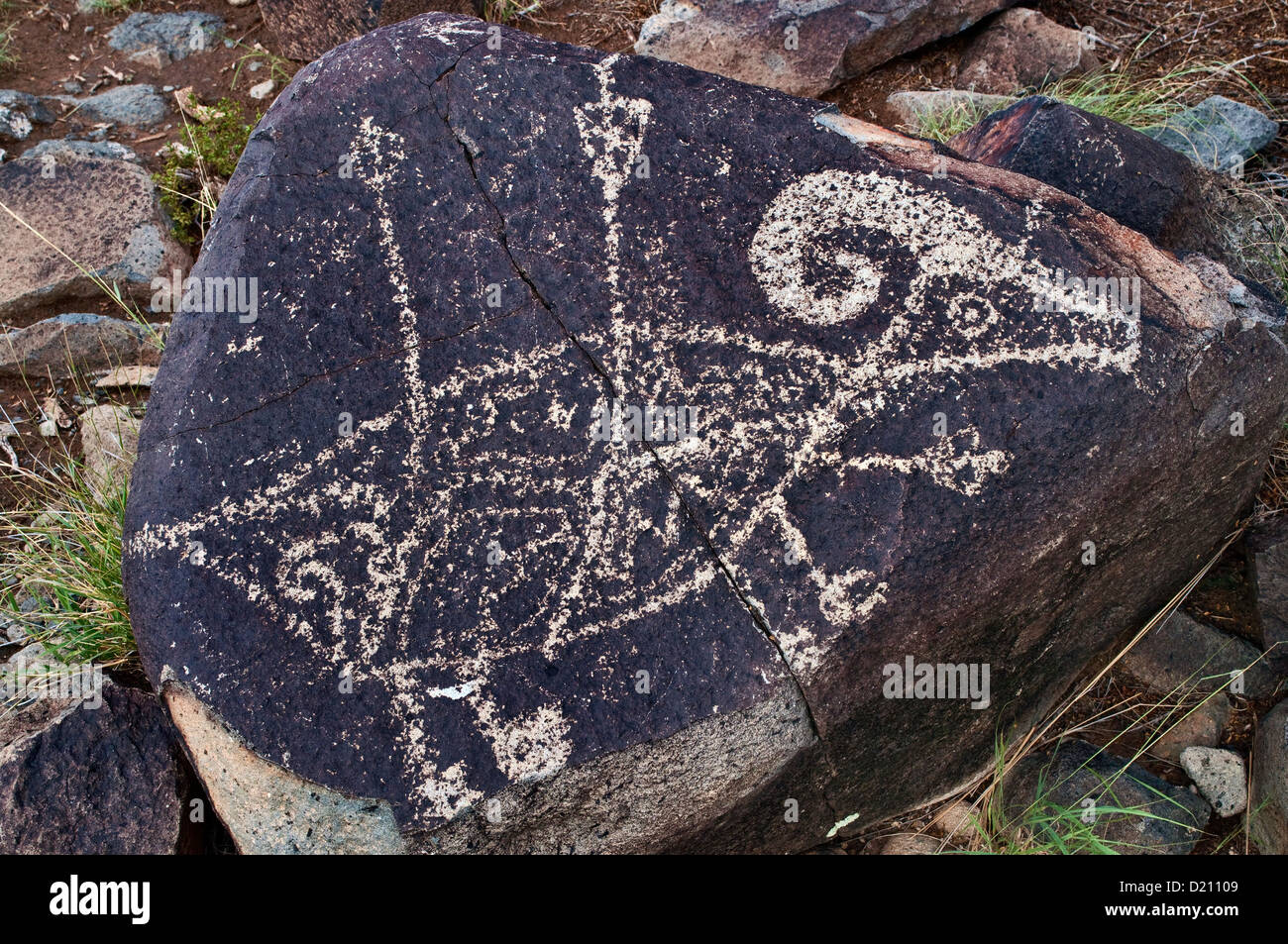Le mouflon d'atteindre avec des flèches, Jornada Mogollon style rock art aux Trois Rivières Site de pétroglyphes, New Mexico, USA Banque D'Images
