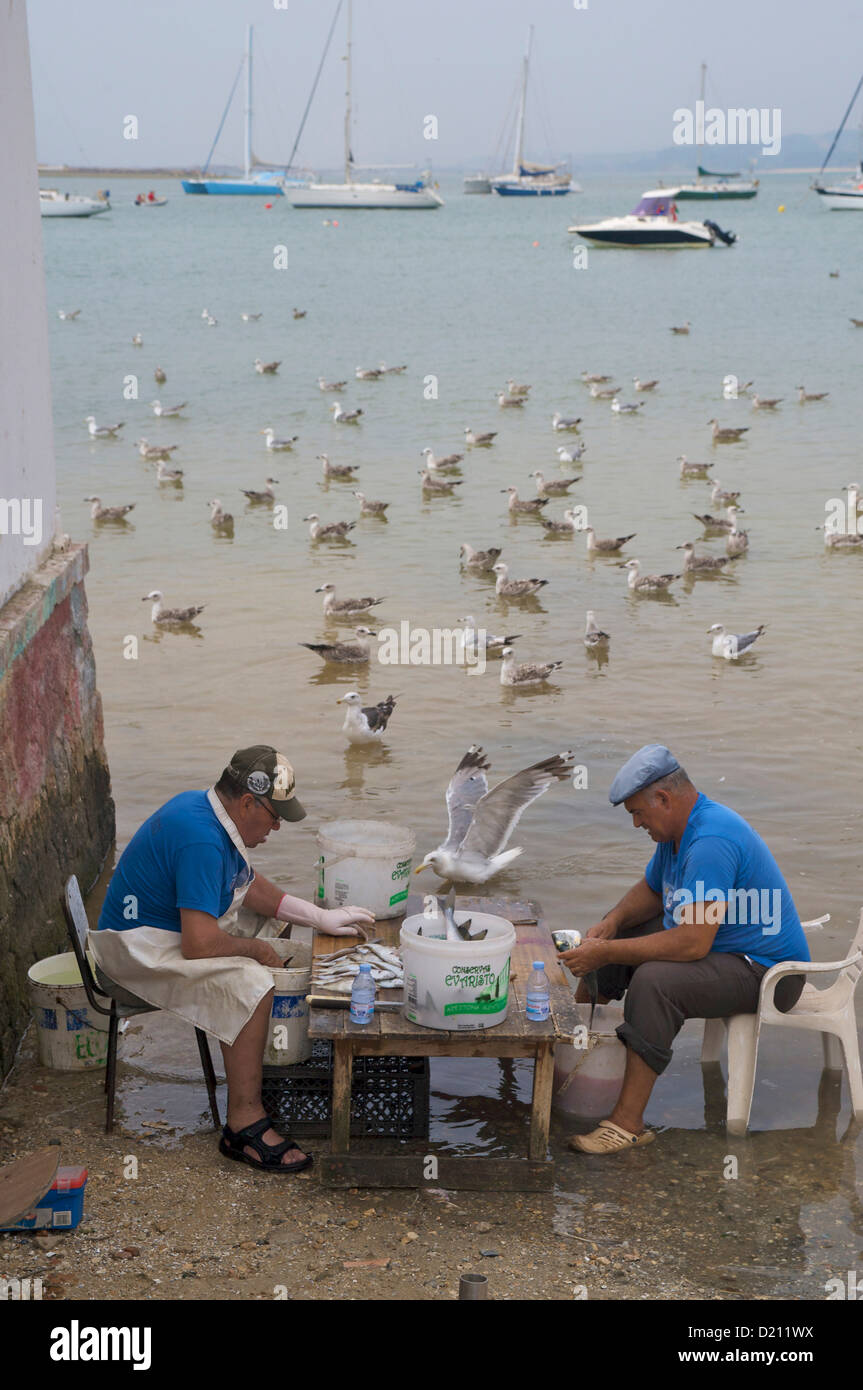 Sortining les pêcheurs sur leurs prises à la laguna Ria de Alvor, Alvor, Algarve, Portugal, Europe Banque D'Images