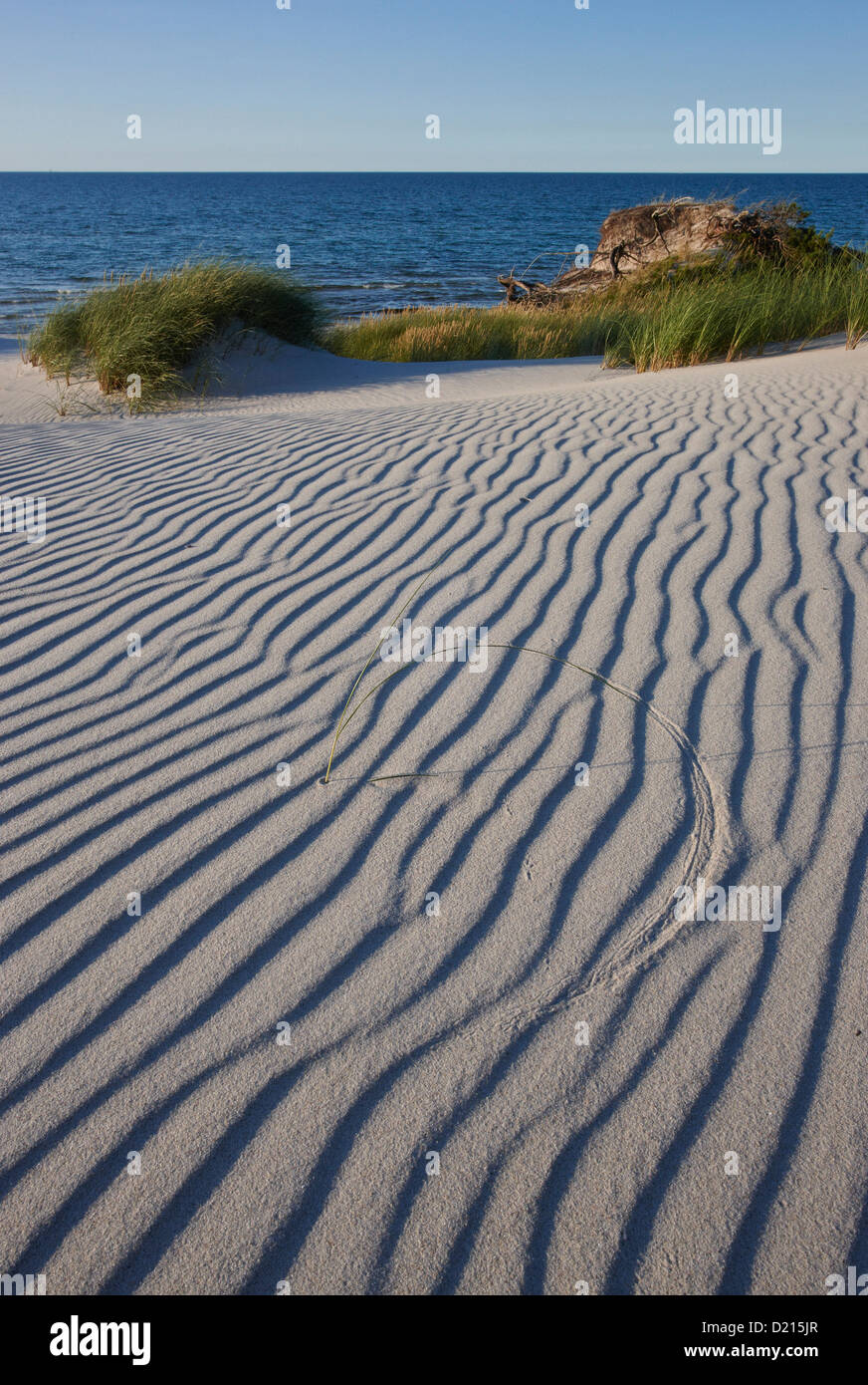 Vaguelettes sur une dune de sable, Poméranie occidentale Lagoon Salon National Park, Ostzingst, péninsule Fischland-Darss-Zingst, mer Baltique, moi Banque D'Images