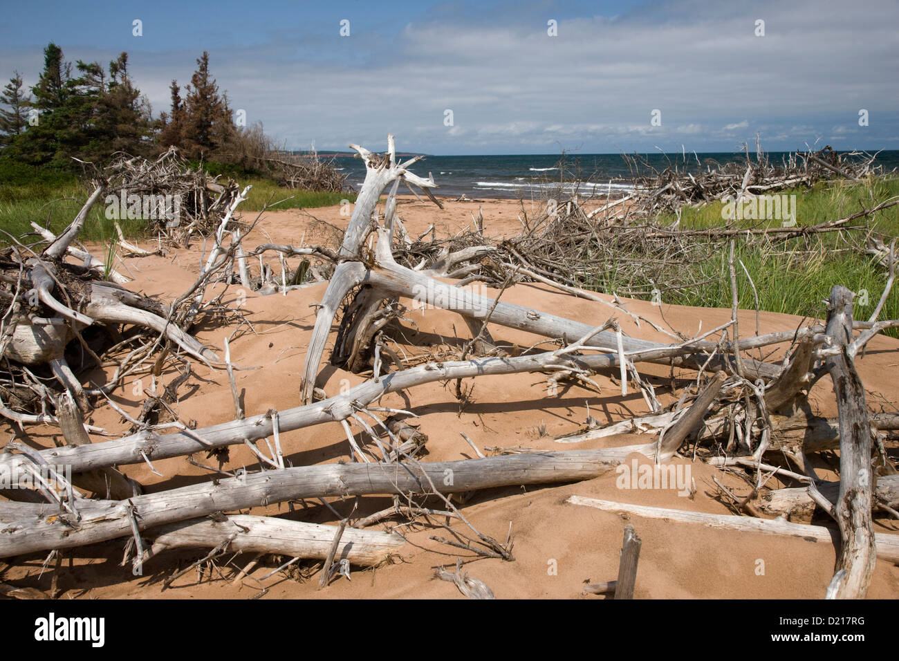 La plage de l'île Robinson sur l'ouest de l'extrême de la Prince Edward Island National Park Banque D'Images