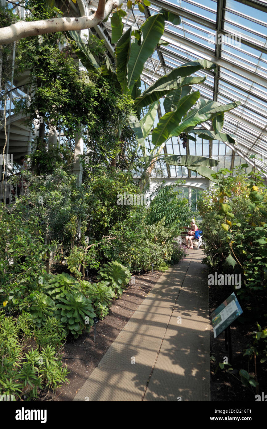 Vue générale de l'Europe chambre dans les Royal Botanic Gardens, Kew, Surrey, Angleterre. Banque D'Images