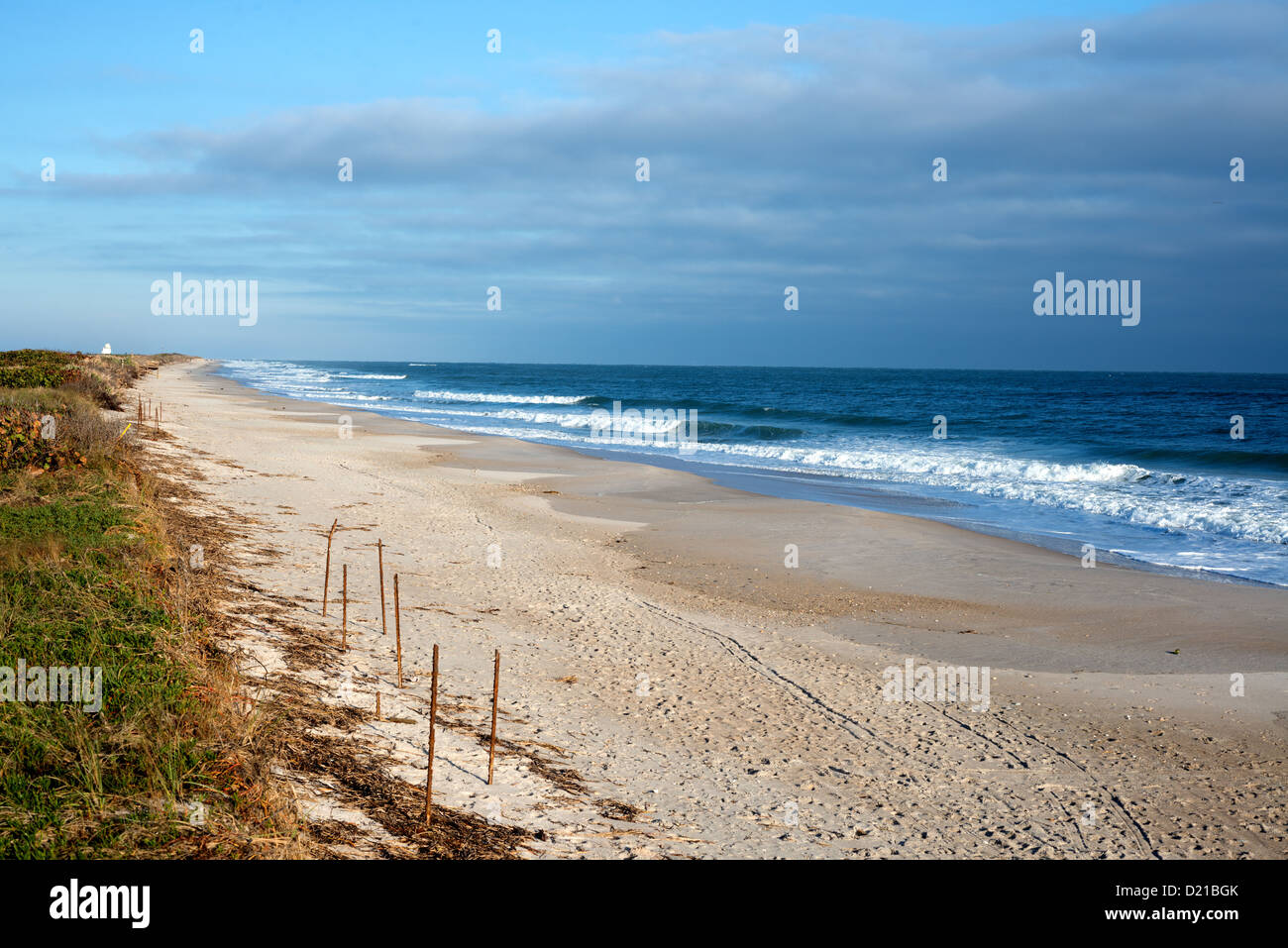 Canaveral National Seashore tôt le matin. Banque D'Images