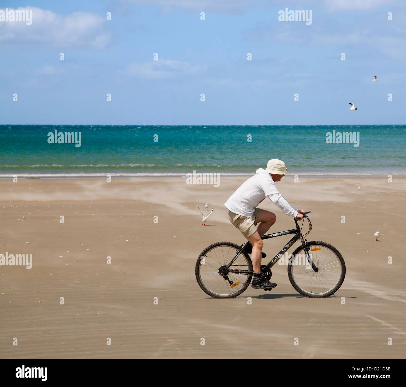 Un homme monté sur un vélo sur la plage de Patong. Région d'Auckland. Mode de vie actif à l'extérieur de l'Île du Nord en Nouvelle-Zélande. Banque D'Images