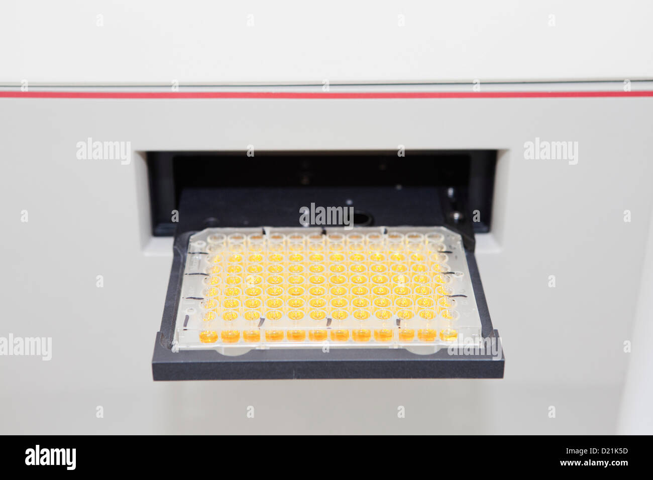 Germany, Bavaria, Munich, de mesure photométrique de la plaque de microtitration Banque D'Images