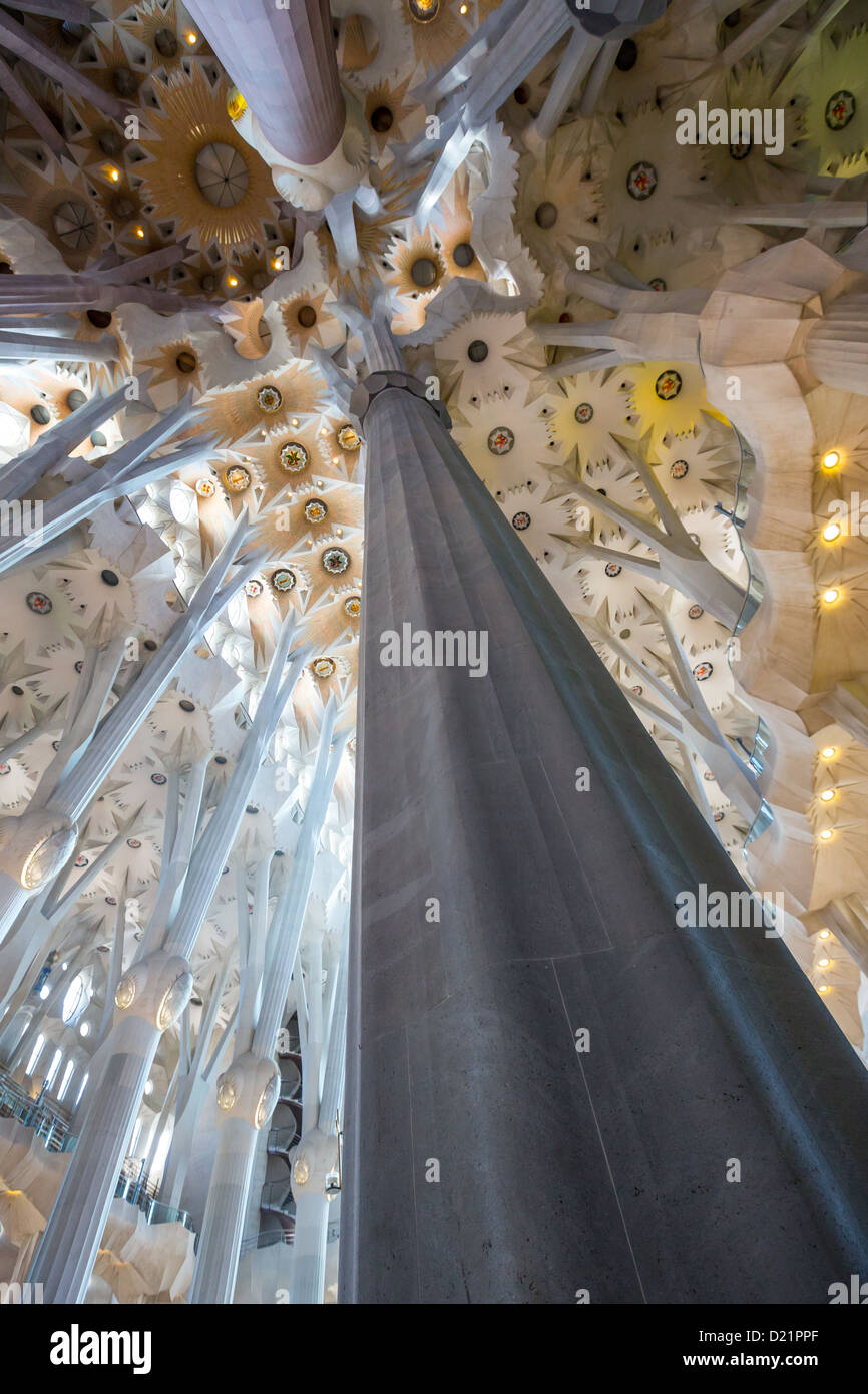 Espagne, Barcelone, l'intérieur de la Sagrada Familia conçue par l'architecte Antoni Gaudì i Cornet. Banque D'Images