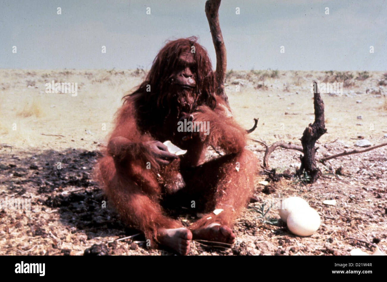 Missing link 1988 Banque de photographies et d’images à haute ...