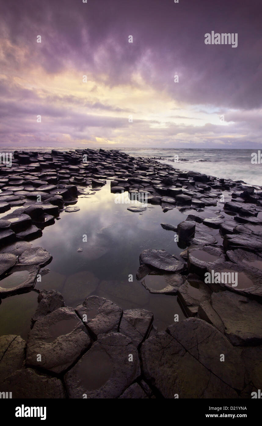 Couleurs Soleil reflété dans une flaque d'eau entre les roches volcaniques de la géométrie de la Chaussée des Géants en Irlande du Nord, Royaume-Uni Banque D'Images