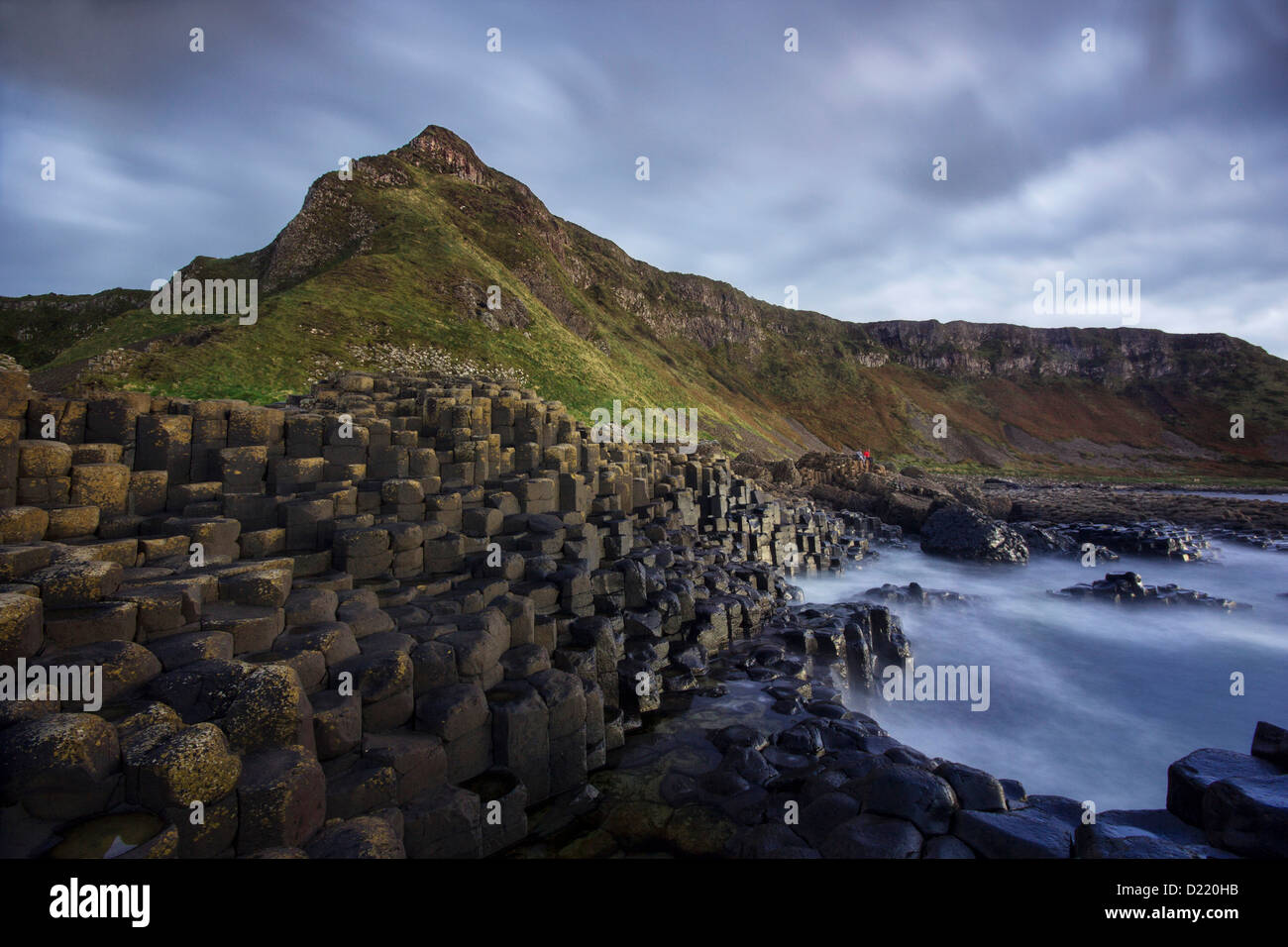 Museau Aird dominant les grands rochers basaltiques texturé de la Chaussée des Géants en Irlande du Nord, au crépuscule Banque D'Images