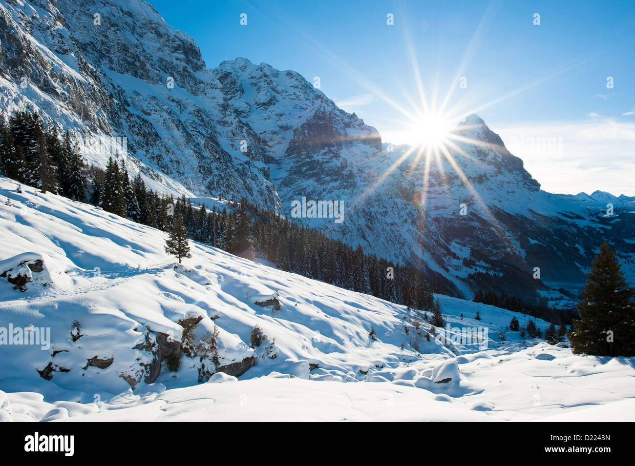 Paysage panoramique au-dessus de Grindelwald, Suisse en hiver Banque D'Images