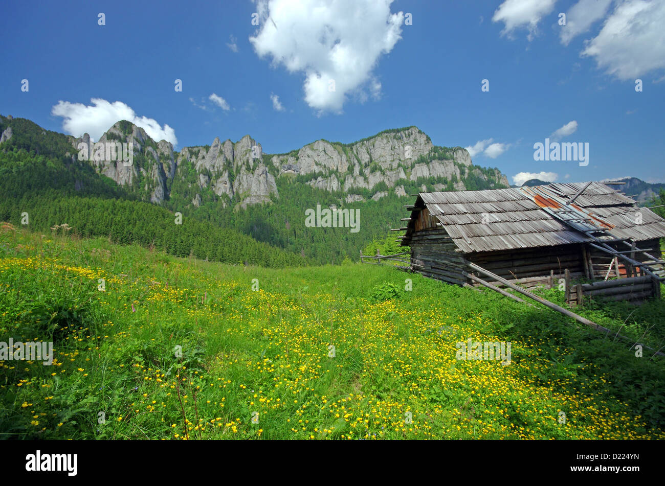 Ancienne bergerie en bois sur une montagne Banque D'Images