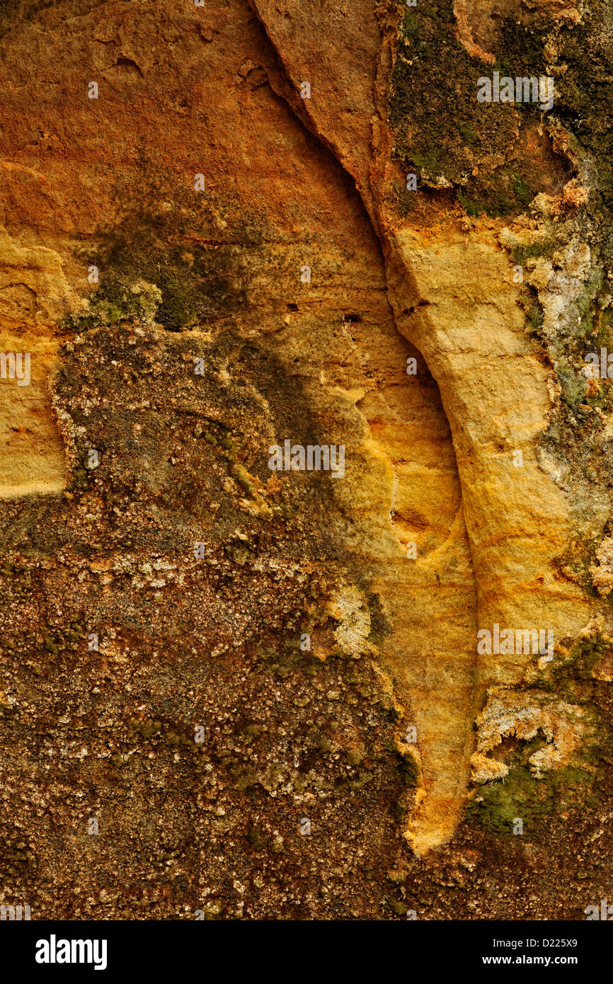 Munising murs de grès- détails des surfaces érodées et colonies de lichens, de Munising, Michigan, USA Banque D'Images
